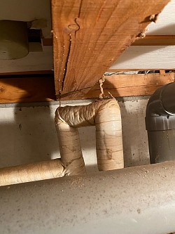 床下に住むシロアリの蟻道