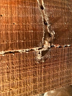 床下木材の被害